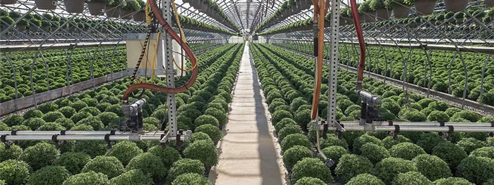 Ratonik Cognitive Automation Systems for Soilless Agriculture.