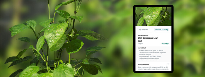 GörBil Application for farmers, agricultural workers and plant lovers to help increase their farming productivity.